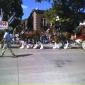Anheuser Bush Clydesdales