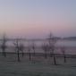 Frosty Morning