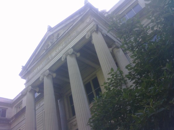 Pillars