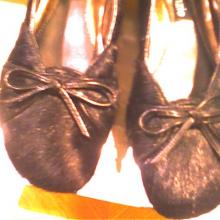 How many cats gave their lives to make these shoes?