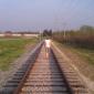 Train Trax