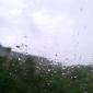 Rainy Window