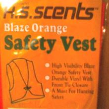 Orange safety vests... On sale for 10¢ at Wal-Mart