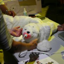 Touch-therapy pets (robotic)