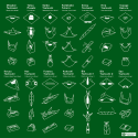 Furoshiki Diagram