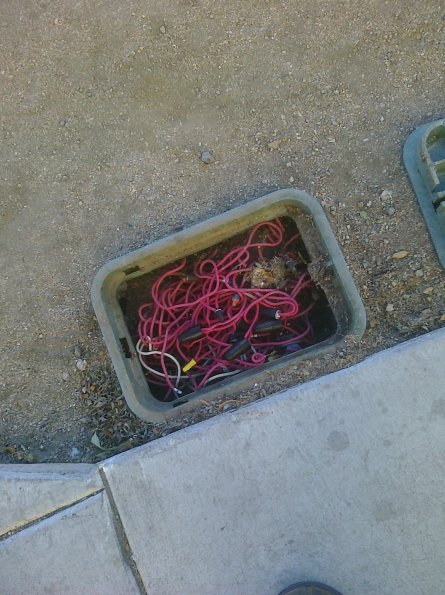 This can't be safe...