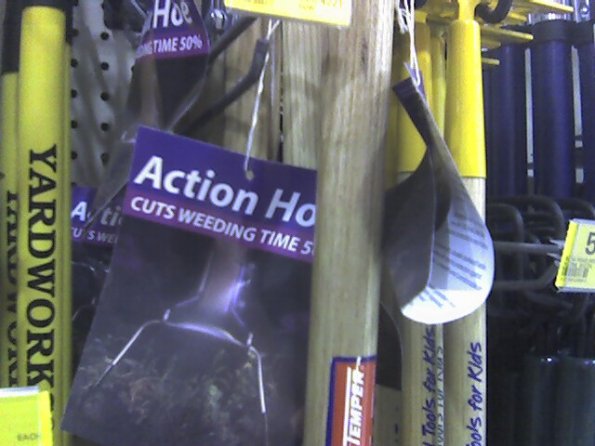 Action Ho