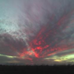 Pink clouds