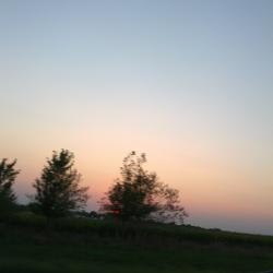 Sun Sliver
