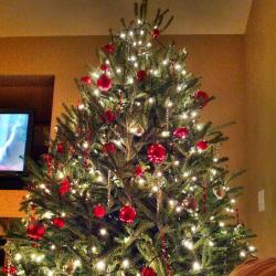 Tree.