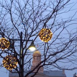 Lights + Dome
