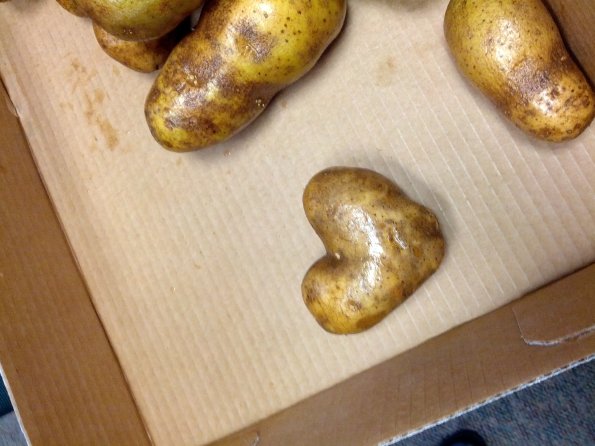 Potato Love
