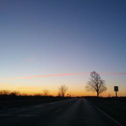 Orange Stripe