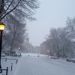 Snowy Wednesday