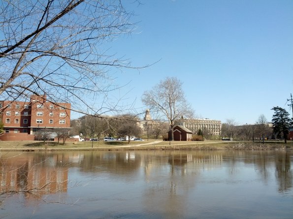 Still chilly, but spring is in the air