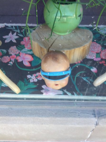 Space Baby!
