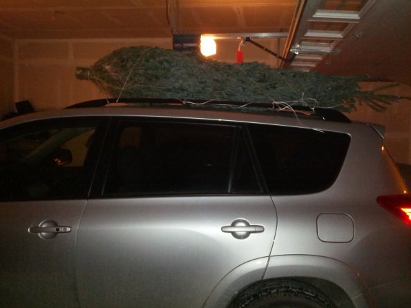 The tree is here...