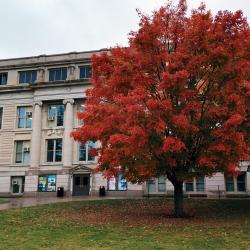 Fall Colors