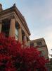 A Few More Fall Colors