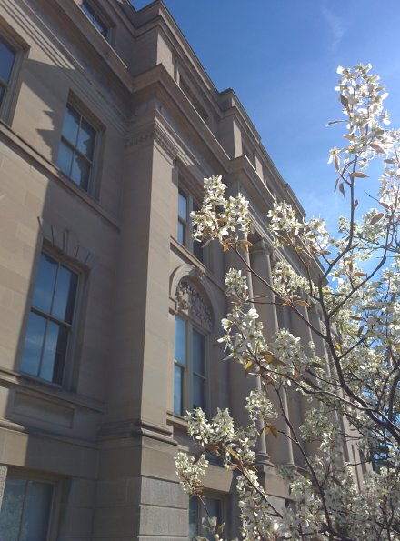 Flowers in front of Schaeffer