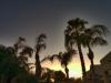 AZ