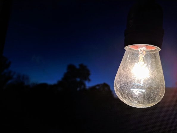 The lights