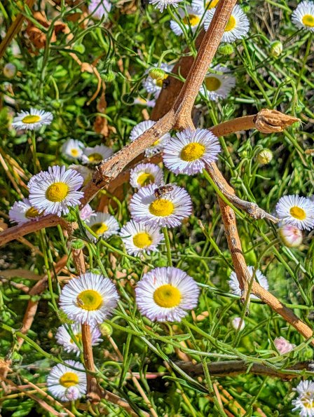 20260322_213457_69c0c8d268bba