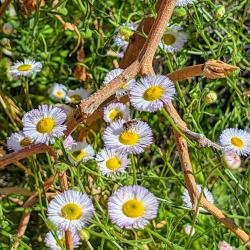 20260322_213457_69e65b92d59b4