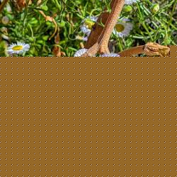 20260322_213457_6a88d871ccee4