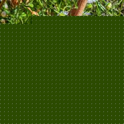 20260322_213457_6a89ab629baf4