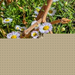 20260322_213457_6a89d591c9935
