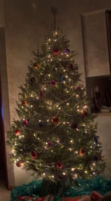 christmas tree
