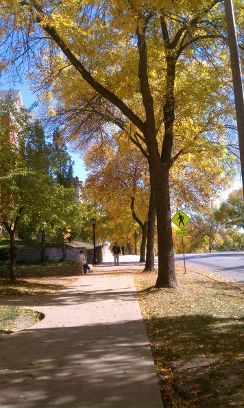 Autumn