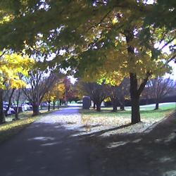 Fall