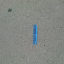Blue Comb