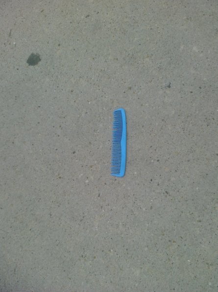 Blue Comb