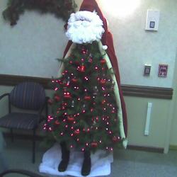 Santatree