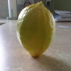 Our First Lemon