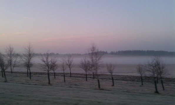 Frosty Morning
