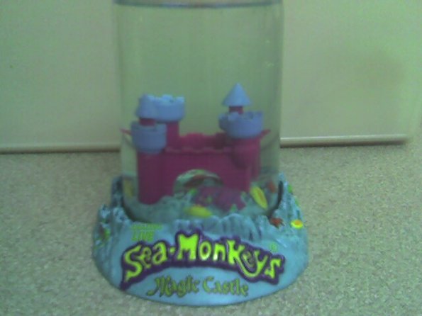 Sea Monkeys