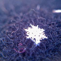 Snowflake on My Coat