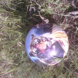 Tiger Ball