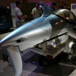 Dolphin submersible