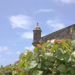 img_0046